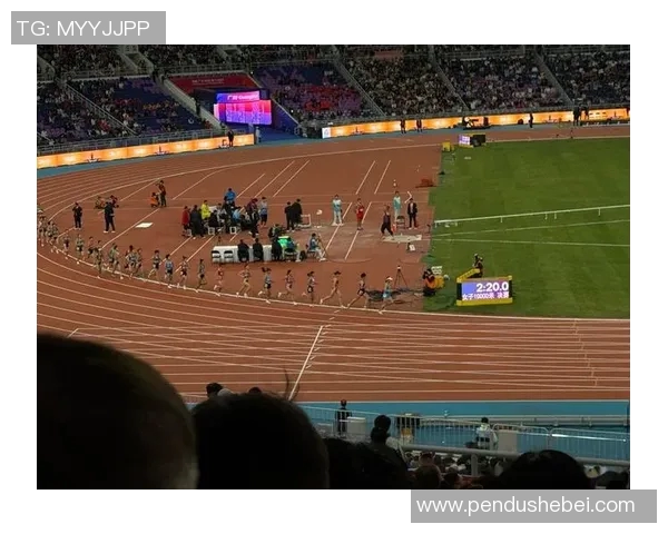 狂热与梦想交织的赛场究竟是怎样的联赛与故事