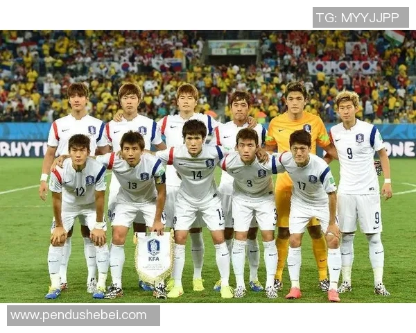 瑞士与日本足球对决数据分析及历史交锋回顾