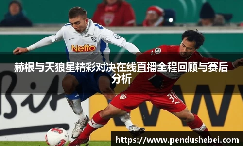 赫根与天狼星精彩对决在线直播全程回顾与赛后分析
