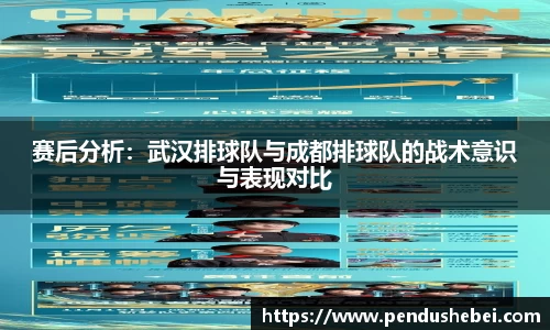 赛后分析:武汉排球队与成都排球队的战术意识与表现对比